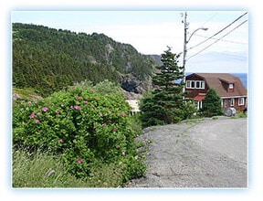 15 Hickeys Ln in Flatrock, NL - Building Photo - Building Photo