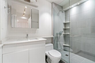 260 E Chestnut St, Unit 4203 in Chicago, IL - Building Photo - Building Photo