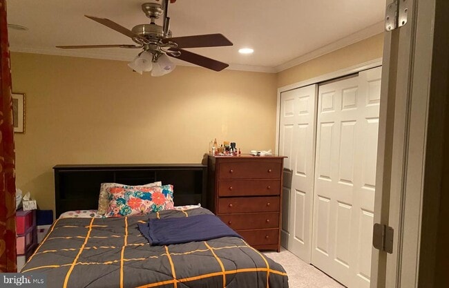 property at 20441 Needleleaf Way