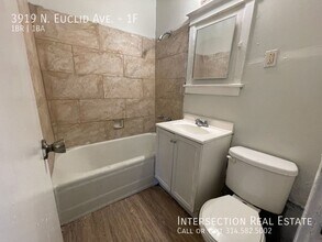 3919 N Euclid Ave in St. Louis, MO - Building Photo - Building Photo