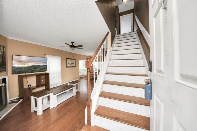 3600 Jeanetta St in Houston, TX - Building Photo - Building Photo