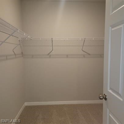 16629 Elkhorn Coral Dr in North Fort Myers, FL - Building Photo - Building Photo