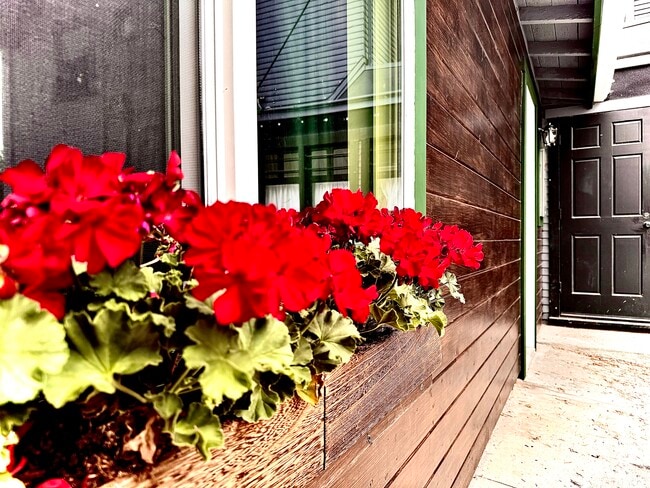 1108 N Sweetzer Ave in West Hollywood, CA - Building Photo - Building Photo