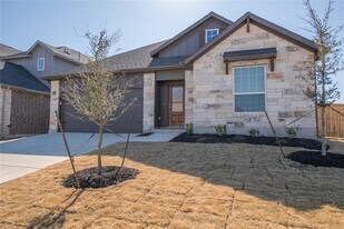 313 Sonbria Pass in Liberty Hill, TX - Building Photo