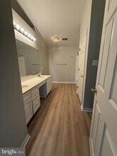 20453 Charter Oak Dr in Ashburn, VA - Building Photo - Building Photo
