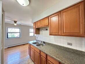 513 W Briar Pl in Chicago, IL - Building Photo - Building Photo