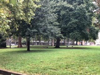 2217 Reed St in Philadelphia, PA - Building Photo - Building Photo