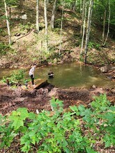 3780 Highland Turnpike in McDowell, VA - Building Photo - Building Photo