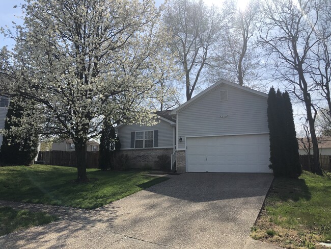 12520 Bridgetown Pl in Louisville, KY - Building Photo - Building Photo
