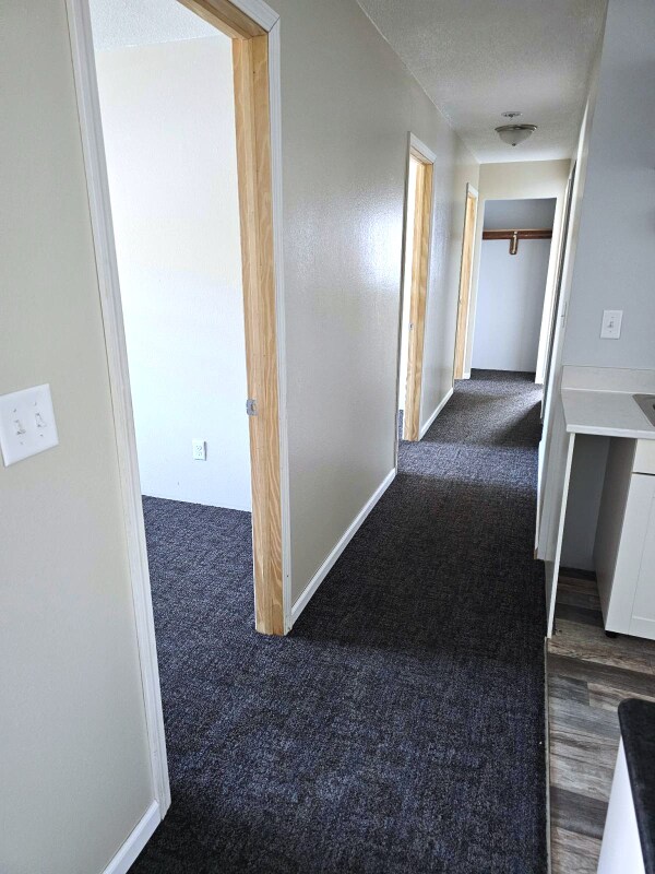 1217 4th Ave S in St. Cloud, MN - Building Photo - Building Photo
