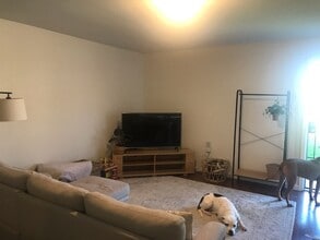 1666 Whitton Ave in San Jose, CA - Building Photo - Building Photo