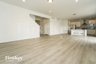 1788 Branching Canopy Dr in Windsor, CO - Building Photo - Building Photo