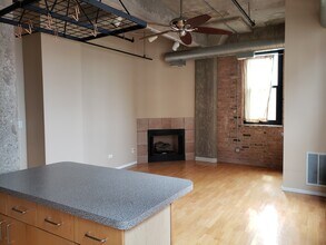 1516 S Wabash Ave in Chicago, IL - Foto de edificio - Building Photo