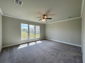 22846 Balsam Dr in Denham Springs, LA - Building Photo - Building Photo