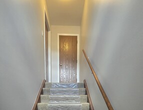 260 E Rimini Ct in Palatine, IL - Building Photo - Building Photo