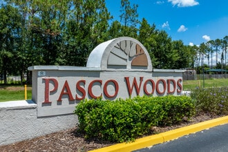 Pasco Woods Apartments in Wesley Chapel, FL - Foto de edificio - Building Photo