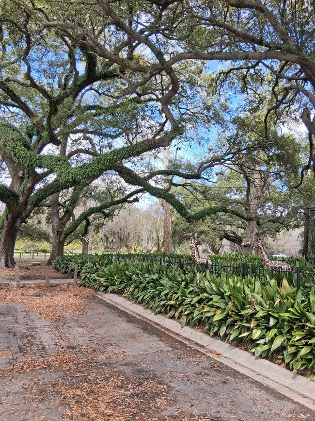 property at 6324 Annunciation St