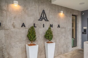 806 Olympic St, Unit 305 in Nashville, TN - Building Photo