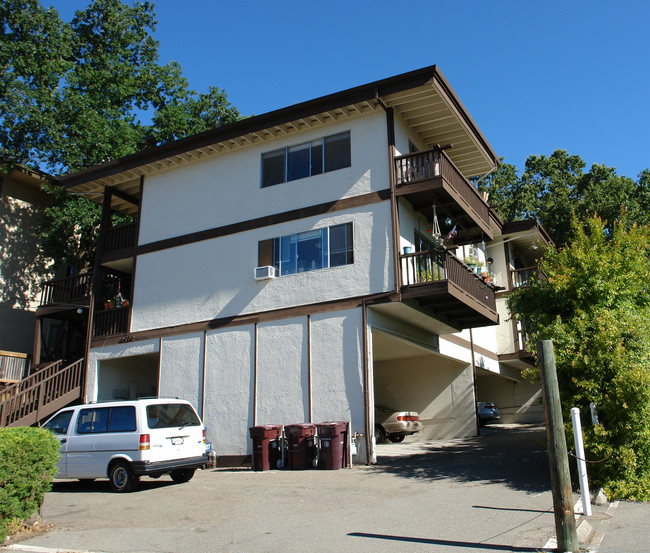 3572 Terrace Way in Lafayette, CA - Building Photo - Building Photo