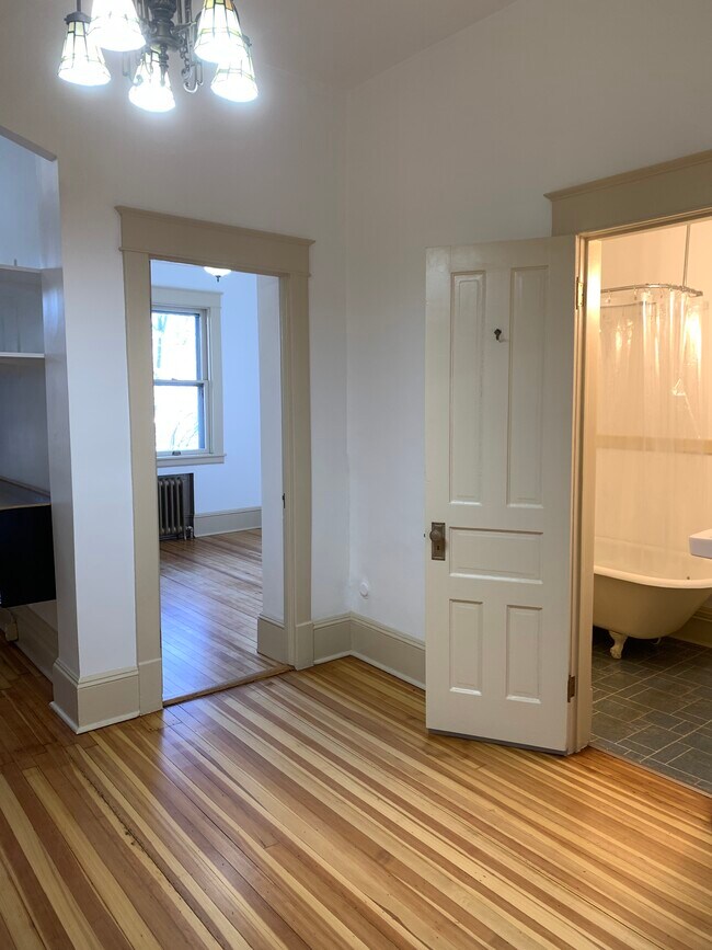 292 Lark St, Unit 2 in Albany, NY - Building Photo - Building Photo