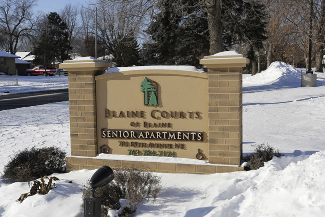 Blaine Courts in Blaine, MN - Building Photo - Building Photo