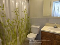 133 W 7th St, Unit 3 in Boston, MA - Building Photo - Building Photo