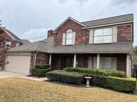 20306 Elmwood Brook Ct in Cypress, TX - Building Photo