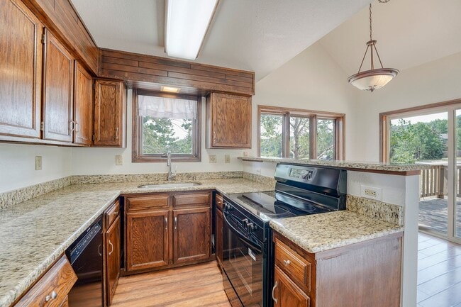 305 N Chipmunk Cir in Silverthorne, CO - Building Photo - Building Photo