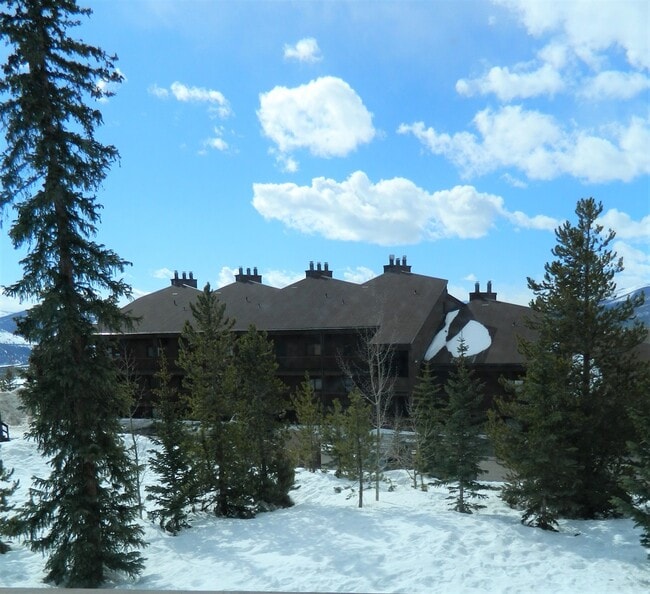property at 9401 Ryan Gulch Rd
