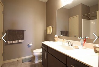 Livingston Place in Madison, WI - Building Photo - Building Photo