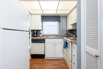 14003 Saulk Ct in Tampa, FL - Building Photo - Building Photo