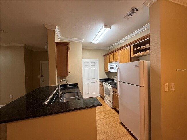 18131 Bridle Bit Ln in Tampa, FL - Building Photo - Building Photo