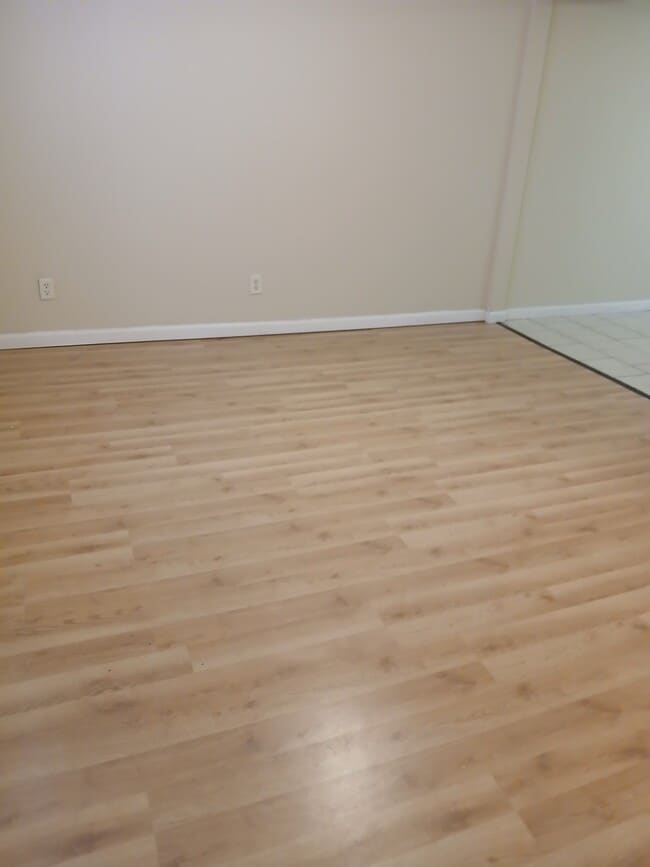 319 E Mill St in Carbondale, IL - Building Photo - Building Photo