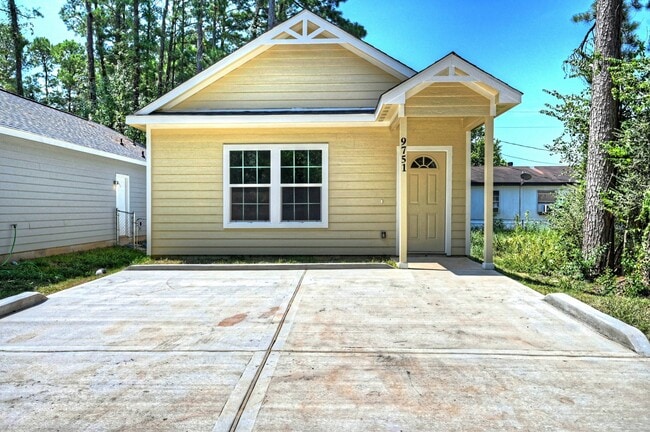 9751 Black Gum in Willis, TX - Building Photo - Building Photo