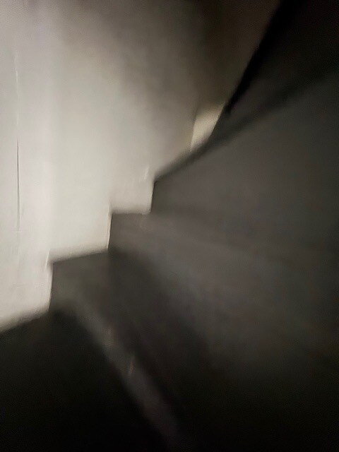 356 1/2 Apple St in Pottstown, PA - Building Photo - Building Photo