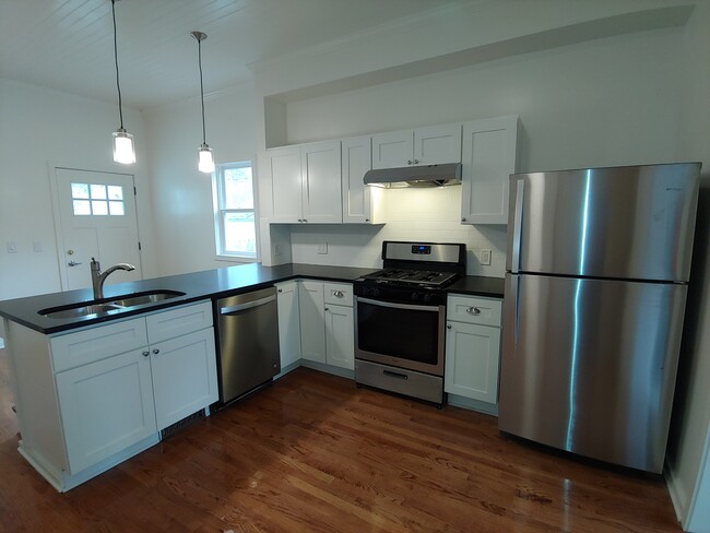 209 National Ave NW in Grand Rapids, MI - Building Photo - Building Photo