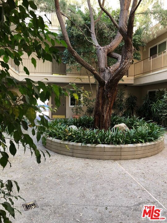 1835 Camden Ave in Los Angeles, CA - Building Photo - Building Photo