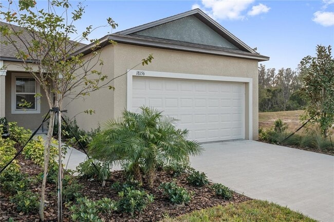 18156 Pleasantview Blvd in Land O Lakes, FL - Building Photo - Building Photo