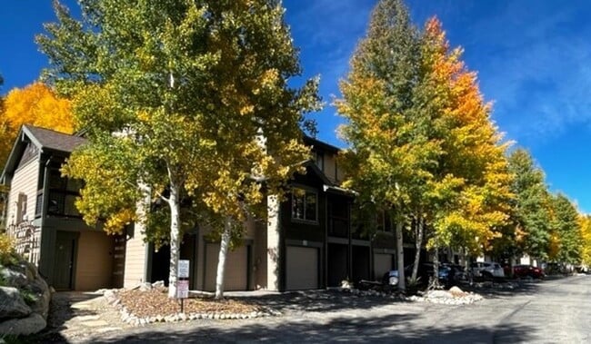 213 Kestrel Ln in Silverthorne, CO - Building Photo - Building Photo