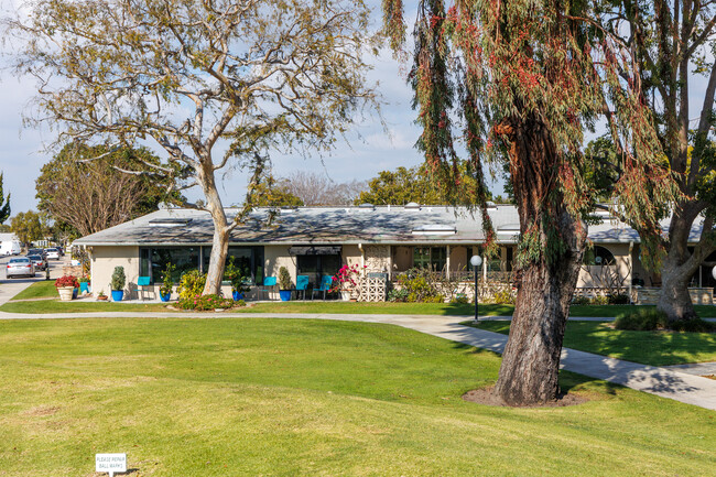 The Mutual 7 in Seal Beach, CA - Building Photo - Building Photo