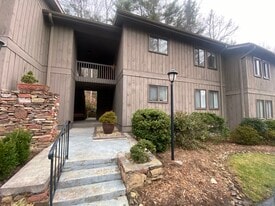 49 Lake Dr in Laurel Park, NC - Building Photo