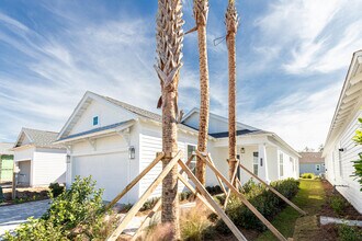 20 Ravine Rd in Watersound, FL - Building Photo - Building Photo