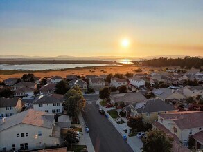 332 Ring Neck St in American Canyon, CA - Building Photo - Building Photo