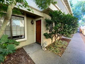 2418 P St in Sacramento, CA - Building Photo - Building Photo