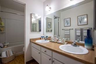 The Social Chico® in Chico, CA - Foto de edificio - Building Photo