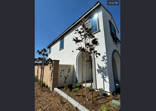36996 Camino Spgs Ave in Murrieta, CA - Building Photo - Building Photo