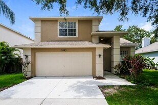 13423 Beechberry Dr in Riverview, FL - Building Photo