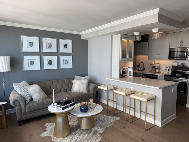 1313 N Ritchie Ct in Chicago, IL - Building Photo - Building Photo