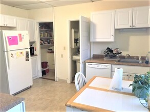 13 Craigie St, Unit 2 in Somerville, MA - Building Photo - Building Photo
