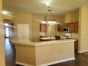 1226 Collier Point Ln in Fresno, TX - Building Photo - Building Photo